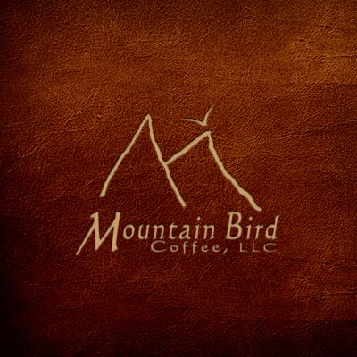 Website Design